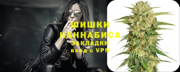 apvp Гусиноозёрск