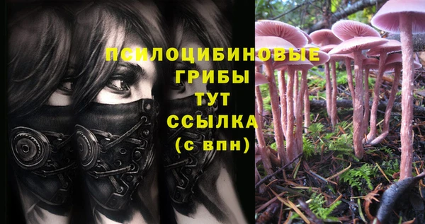 apvp Гусиноозёрск
