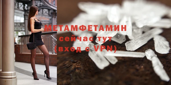 ГАЛЛЮЦИНОГЕННЫЕ ГРИБЫ Дмитриев
