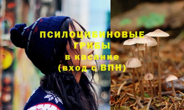 марки lsd Гусь-Хрустальный