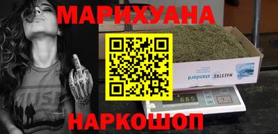 СК Гатчина