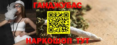 СК Гатчина