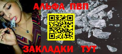 СК Гатчина