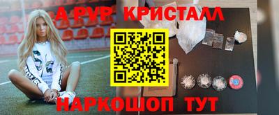 СК Гатчина