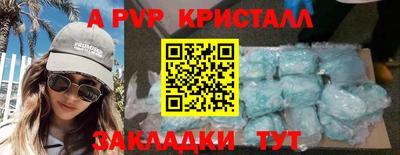 СК Гатчина