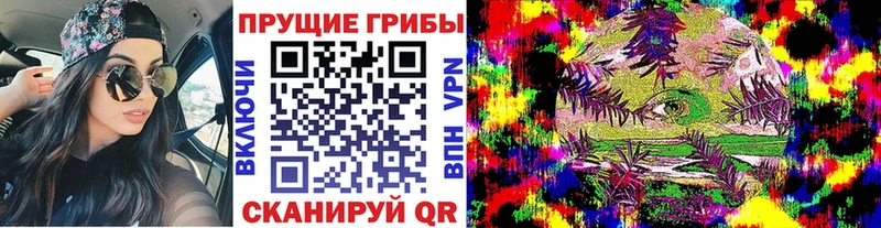 Галлюциногенные грибы мицелий как найти закладки площадка состав Добрянка