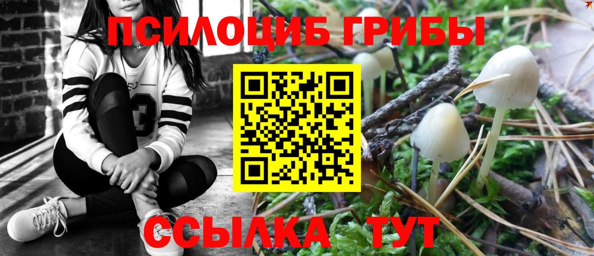 Галлюциногенные грибы MAGIC MUSHROOMS  Добрянка  Галлюциногенные грибы мухоморы 