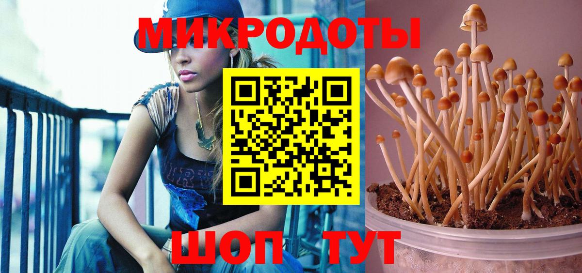 наркотики  Вход с VPN  Добрянка  Галлюциногенные грибы прущие грибы 